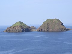 cT